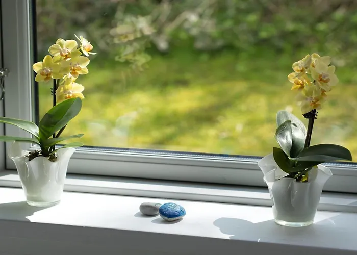 Hilde - 75m From The Sea By Interhome Aabenraa