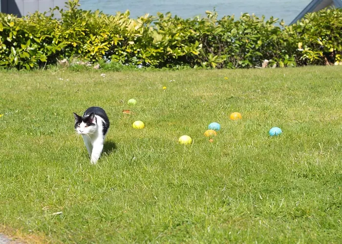 Hilde - 75m From The Sea By Interhome * Aabenraa